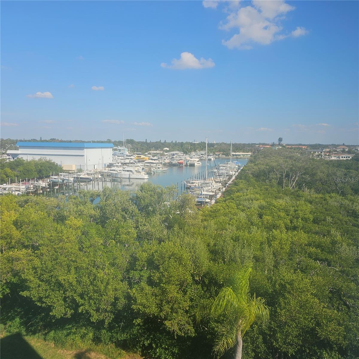 PASADENA COVE CONDO - Residential