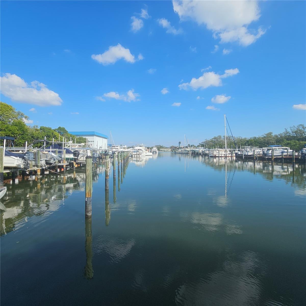 PASADENA COVE CONDO - Residential