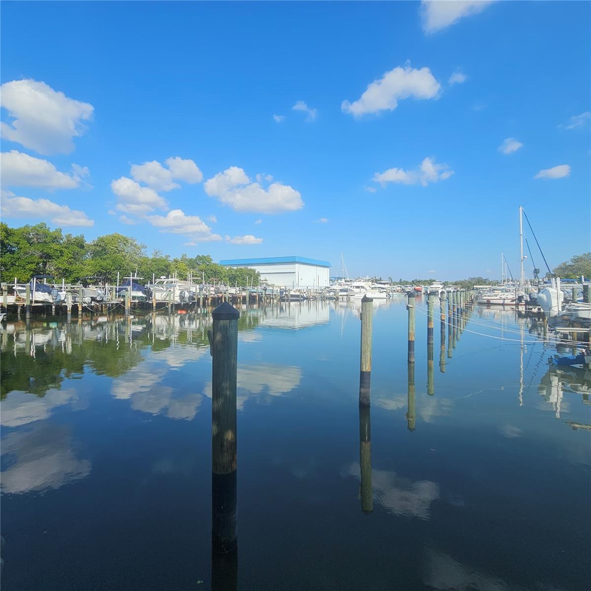 PASADENA COVE CONDO - Residential