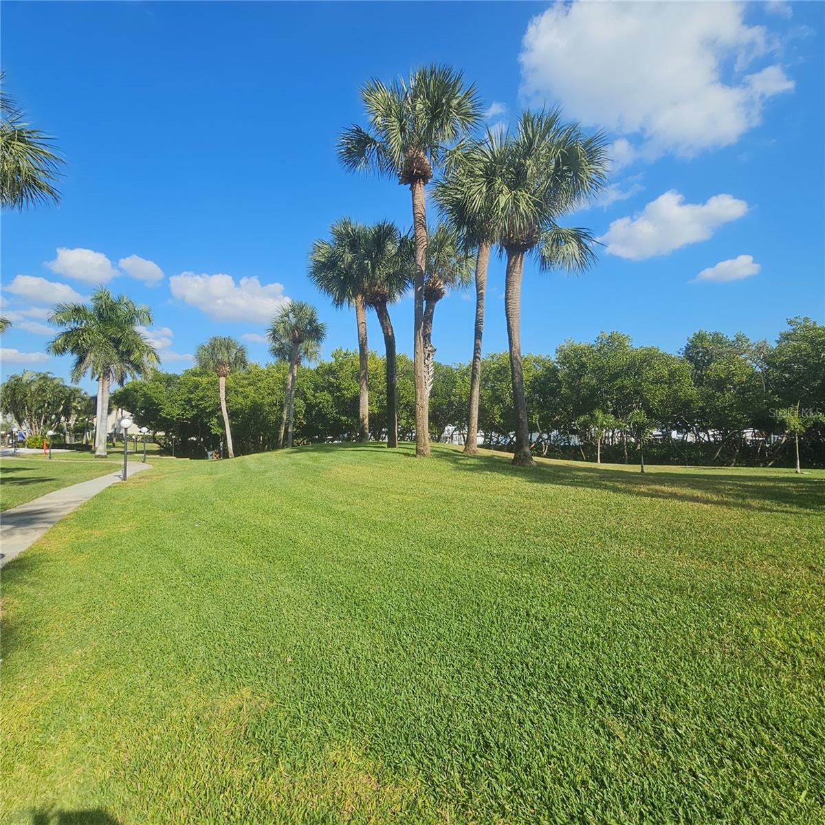 PASADENA COVE CONDO - Residential