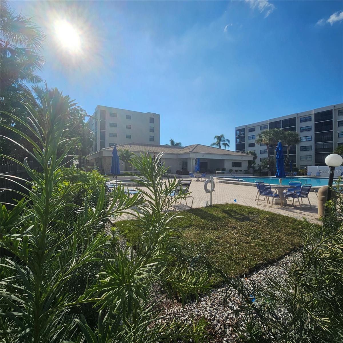 PASADENA COVE CONDO - Residential