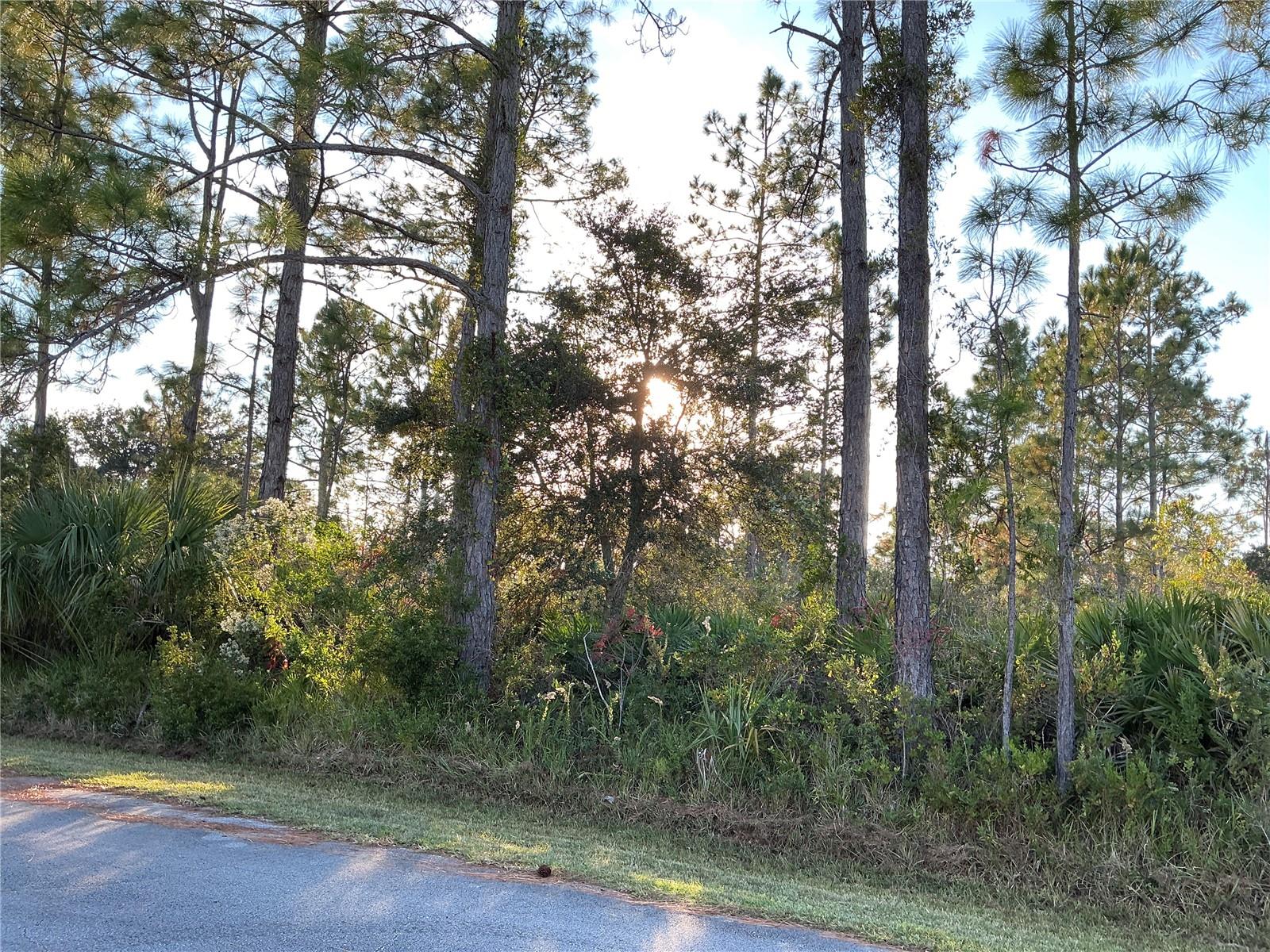 PALM COAST SEC 59 - Land