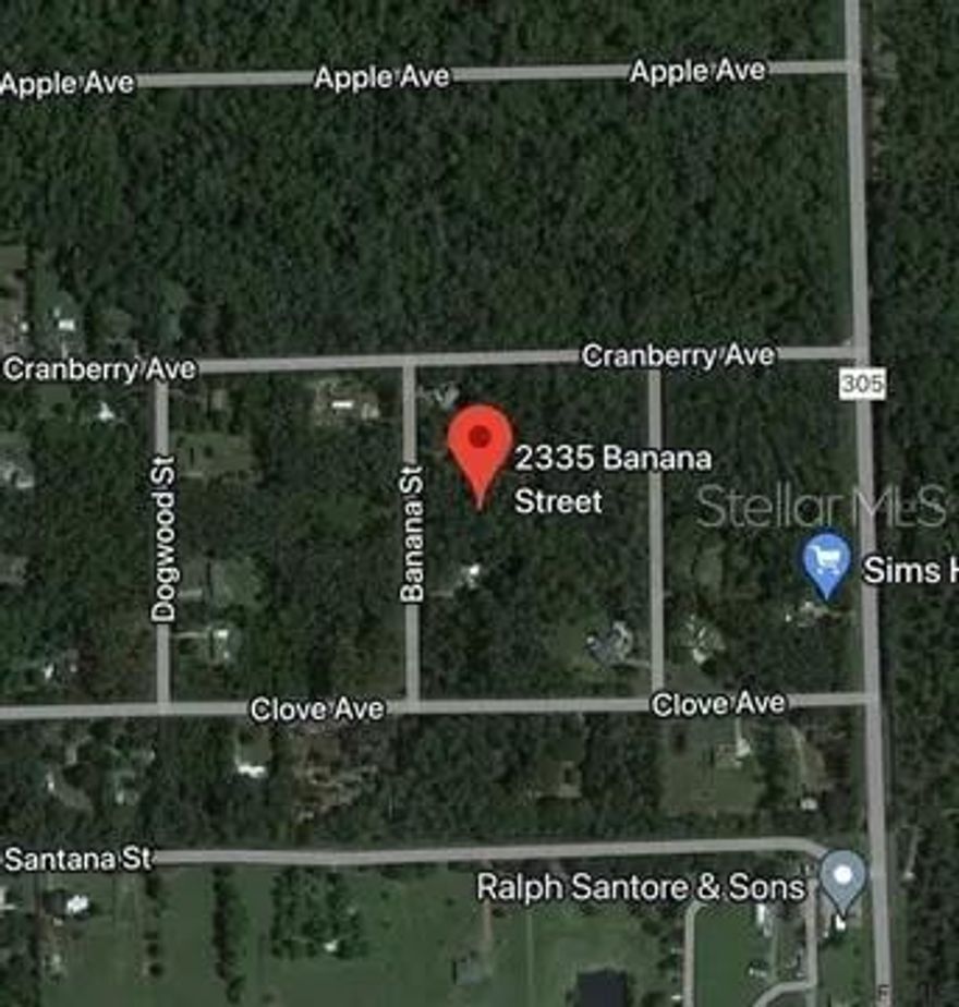 Build your future home on this HIGH and DRY lot. Over an acre of land where you have enough room to for all your toys, cars, farm animals and more. Nestled in a tranquil environment, this property is ideal for those seeking a peaceful life surrounded by nature. Enjoy the benefits of rural living while being just a short drive away to shopping, dining, and Flagler Beach. Located just 30 minutes to either famous Daytona Beach or historical downtown St. Augustine.