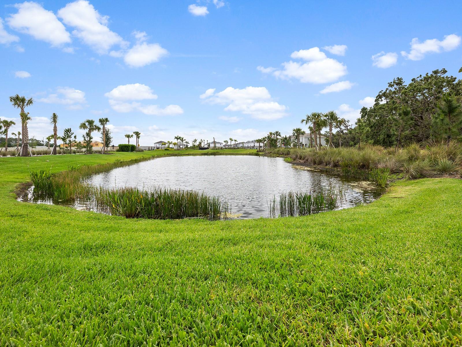 SKYE RANCH NBRHD 2 TWNHMS - Residential Lease