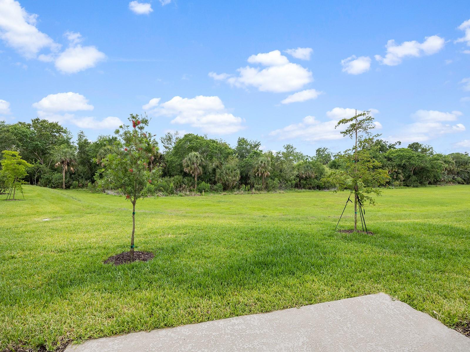 SKYE RANCH NBRHD 2 TWNHMS - Residential Lease