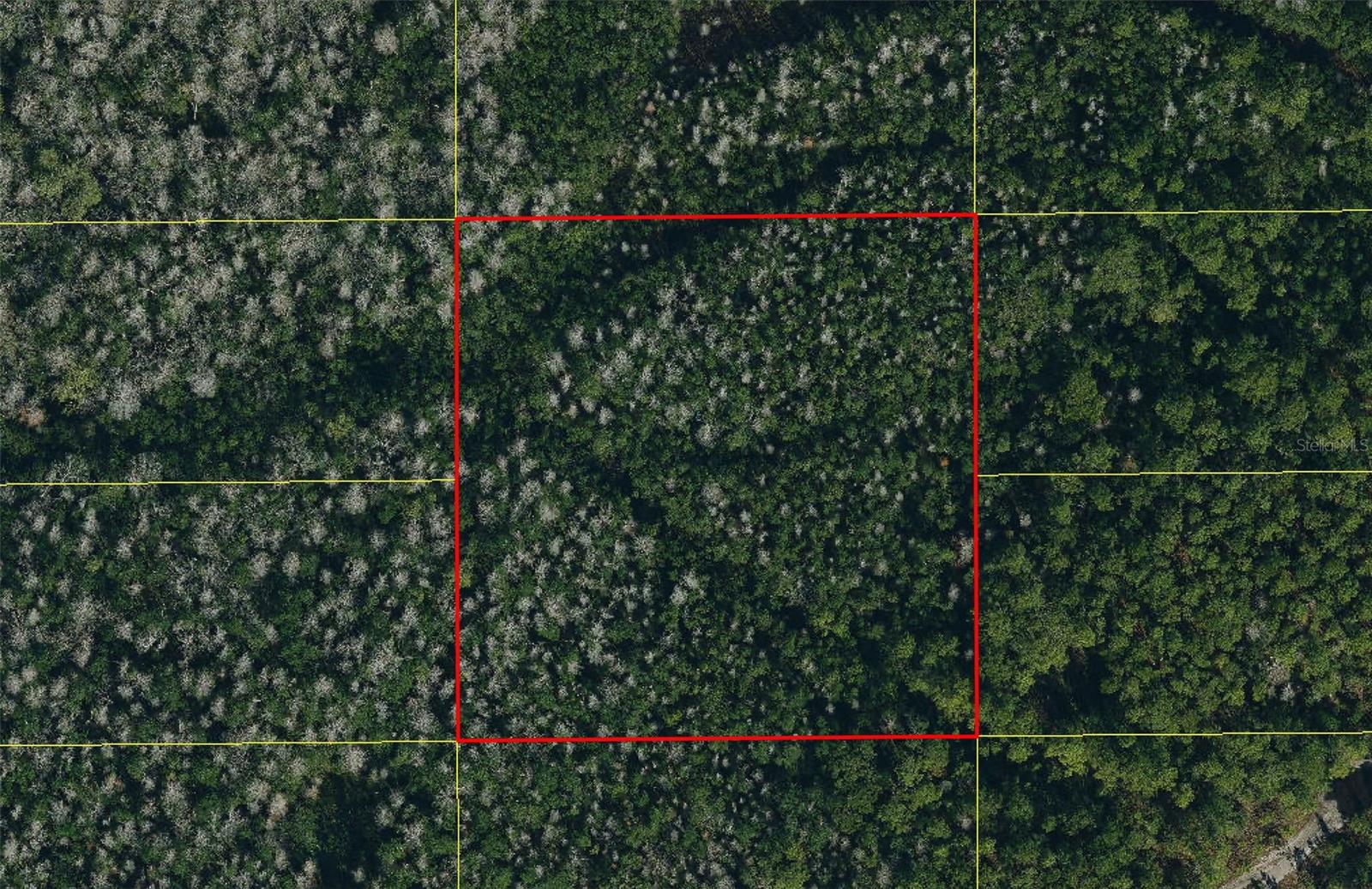 2.51 Acres near ATV trails, lakes, and wildlife areas— easy highway access, close to shopping. Endless potential for recreation, or farming. Your 2.51-Acre Playground Awaits!
Escape the city and claim your own slice of Osceola County for recreation, agriculture, or your dream retreat. Minutes from Kissimmee ATV riding area, 20 minutes to Lake Kissimmee State Park and three Lakes WMA for fishing, hunting, and hiking. Quick access to US-192, US 441 and the Florida Turnpike - only 15 minutes to shopping, dining, and groceries in St. Cloud or Kissimmee. Zoning Changes possible for other uses — endless potential.