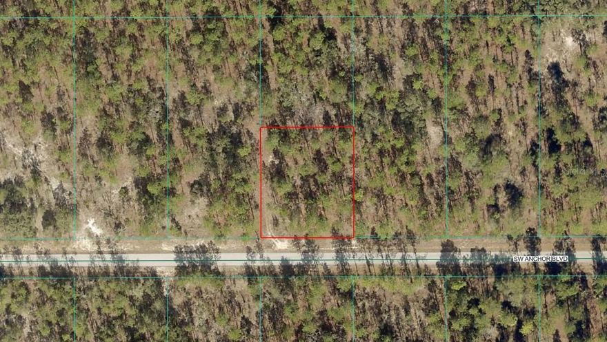 Great square Lot in Rainbow Lakes Estates. This lot is nicely treed, .50 of an acre and NOT in a flood zone. Zoned R1 - Site-built homes only. Minutes to beautiful Rainbow Springs State Park and the Rainbow River. A quick commute to downtown Dunnellon for shopping, banking, and restaurants and only about 30 minutes to the World Equestrian Center in Ocala. Lots of new construction going on in this area. The community has its own library, community center, playground, basketball courts, tennis courts, 2 boat ramps, and fishing pier, NO HOA.