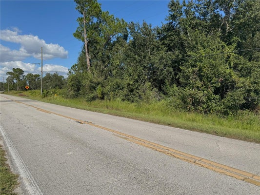 ALTURAS BABSON PARK CUTOFF RD, BARTOW, FL 33830 - Image ef032ec36c4f485d72257644ac8ebddd/2985724724