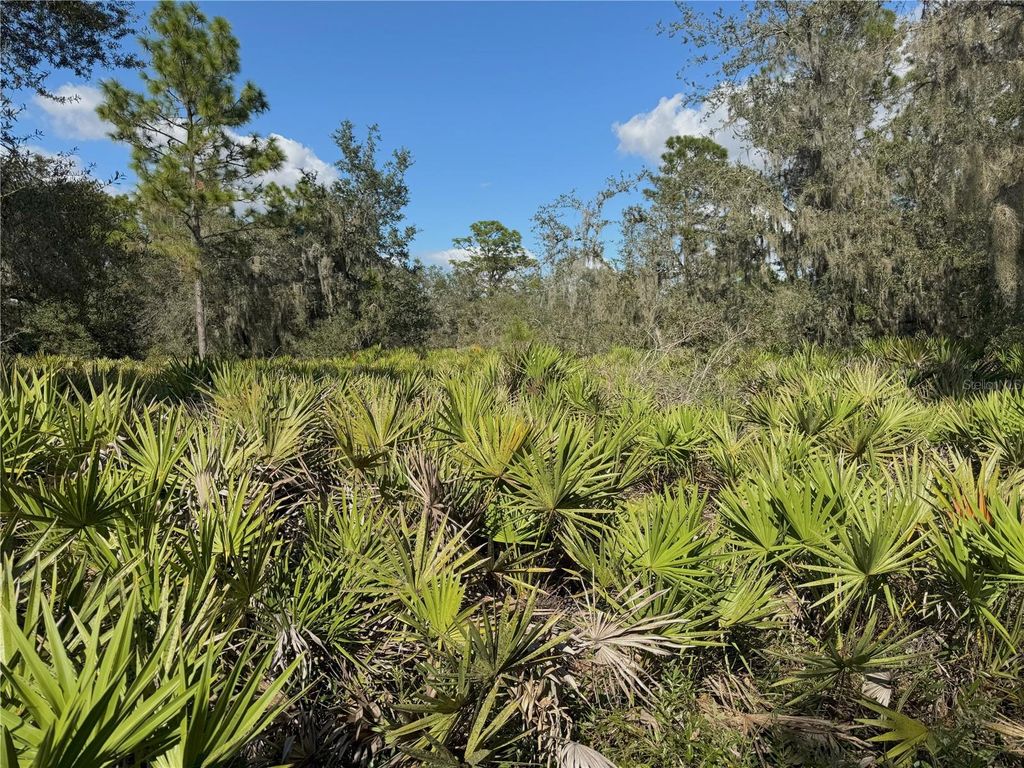Photo of 0 Alturas Babson Park Cut Off Road, Bartow, FL 33830 (MLS # TB8438524)