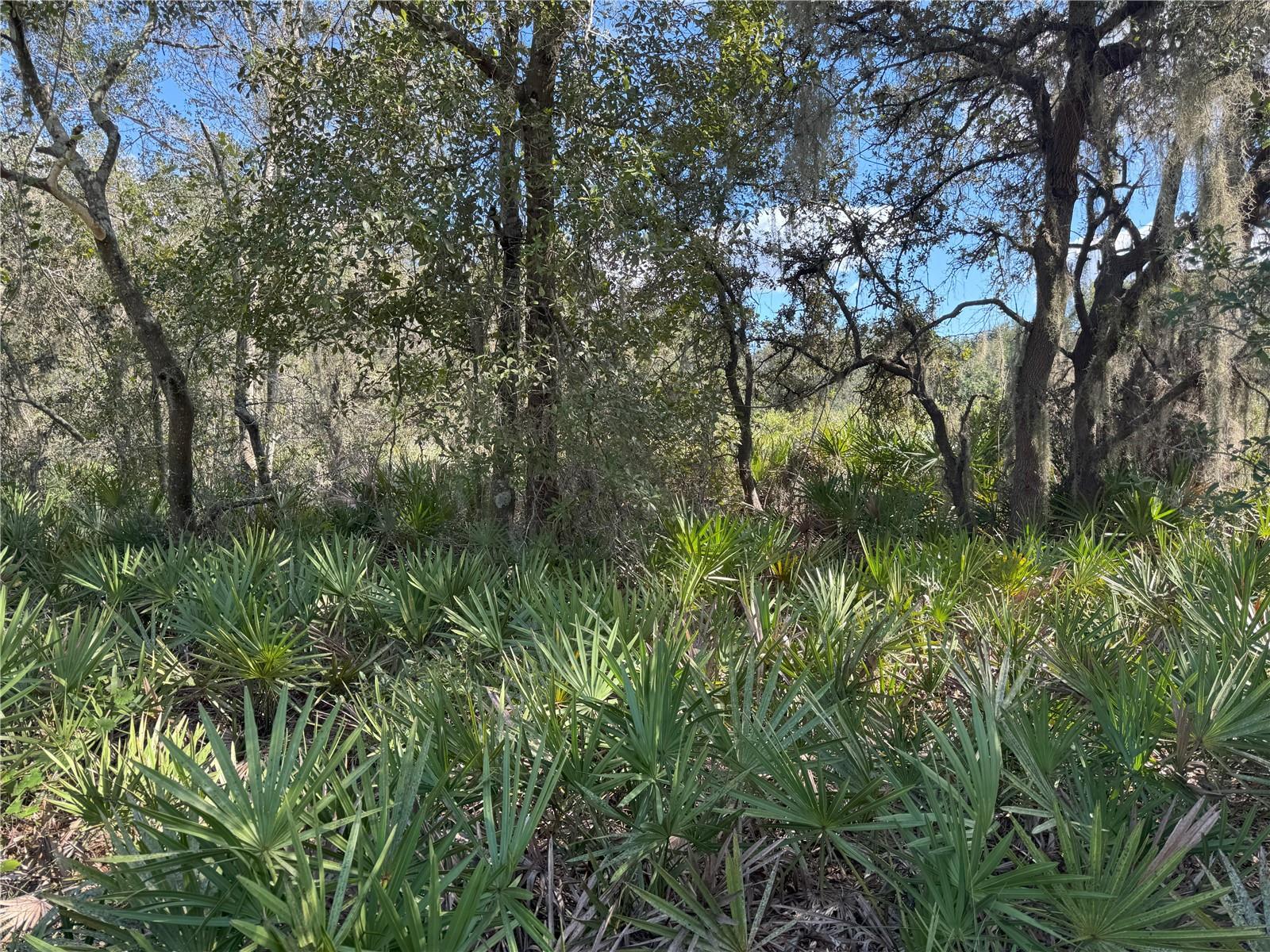 0 ALTURAS BABSON PARK CUT OFF ROAD