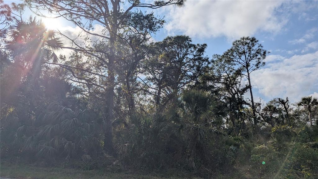 Photo of 107 Juper Street, Port Charlotte, FL 33953 (MLS # D6140016)