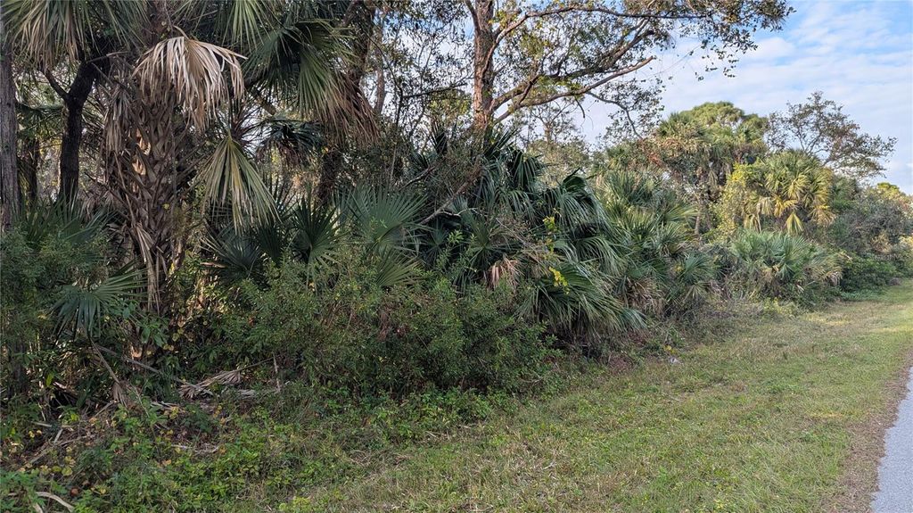 Photo of 107 Juper Street, Port Charlotte, FL 33953 (MLS # D6140016)