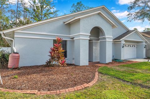 A home in TAMPA