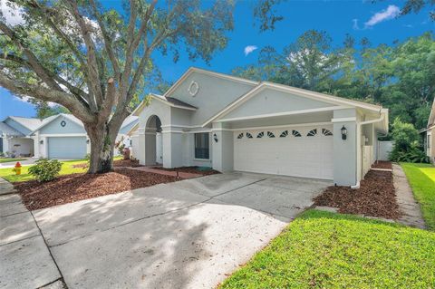 A home in TAMPA