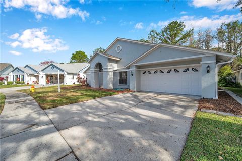 A home in TAMPA