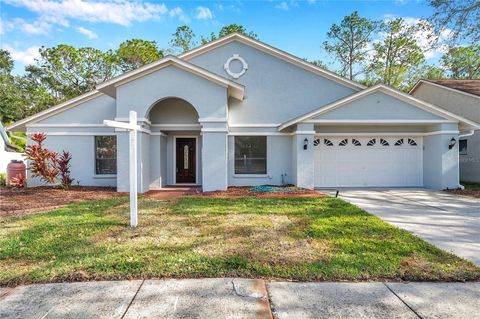 A home in TAMPA