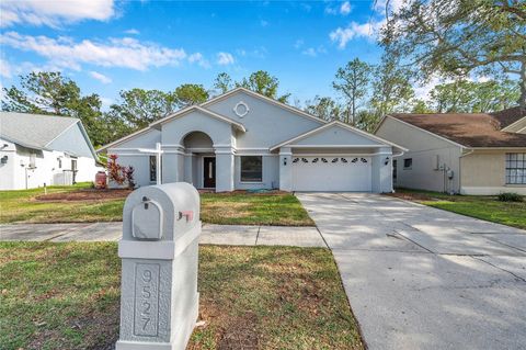 A home in TAMPA