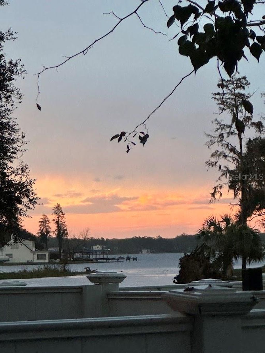 Photo of 13709 Juniper Blossom Drive #0, Tampa, FL 33618 (MLS # TB8391883)