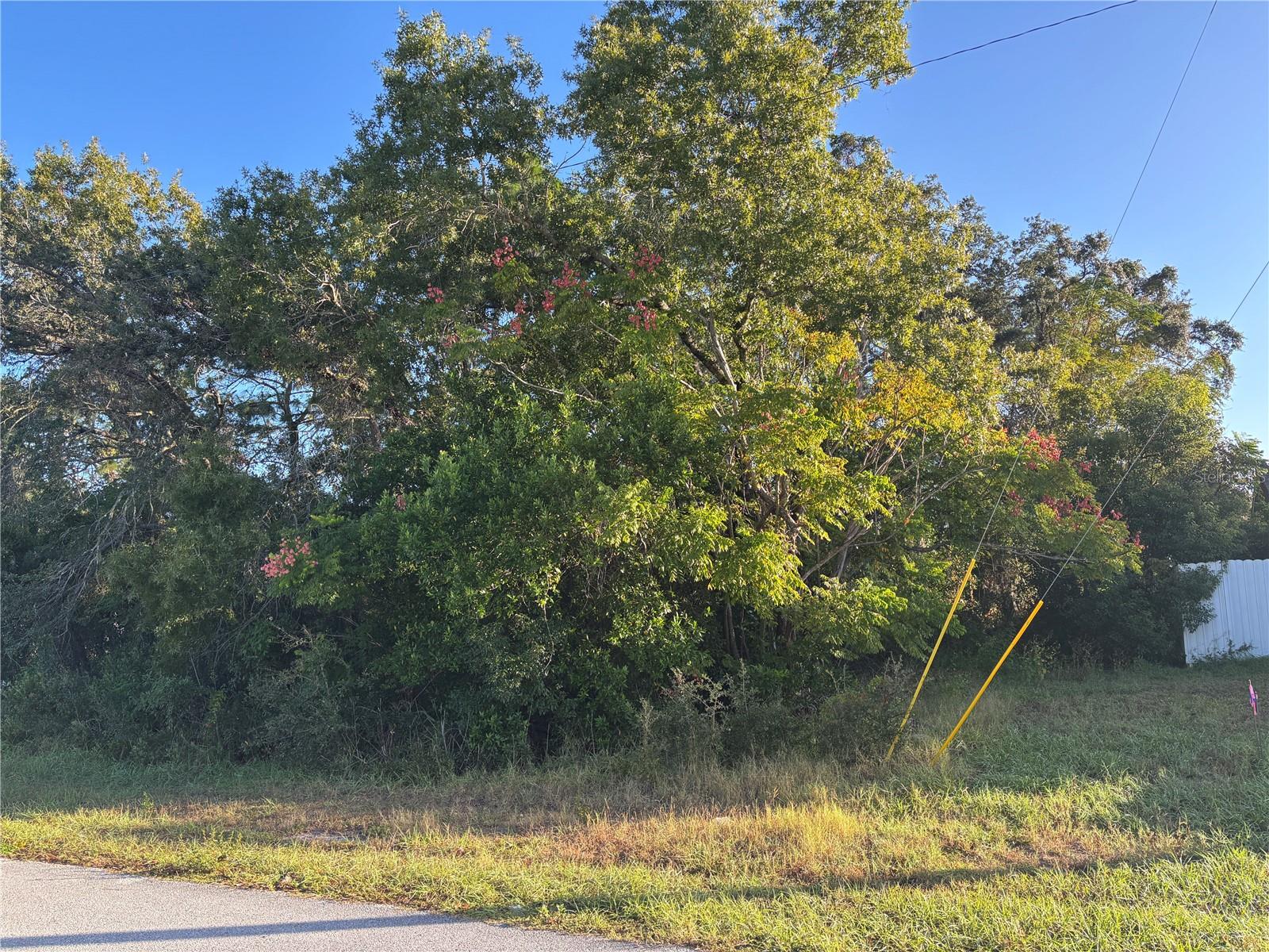 Lot 1 MAYFLOWER ROAD