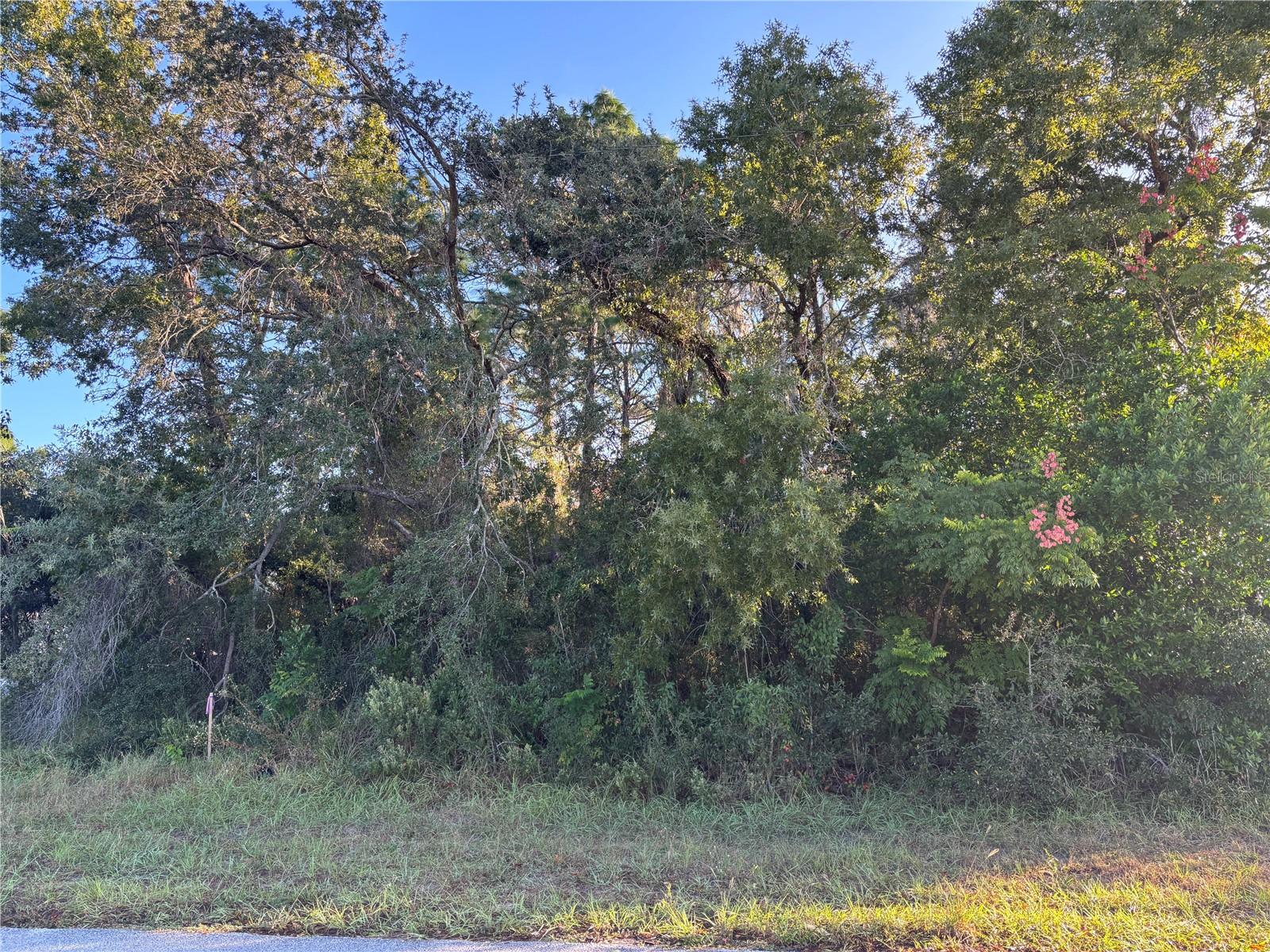 Lot 1 MAYFLOWER ROAD