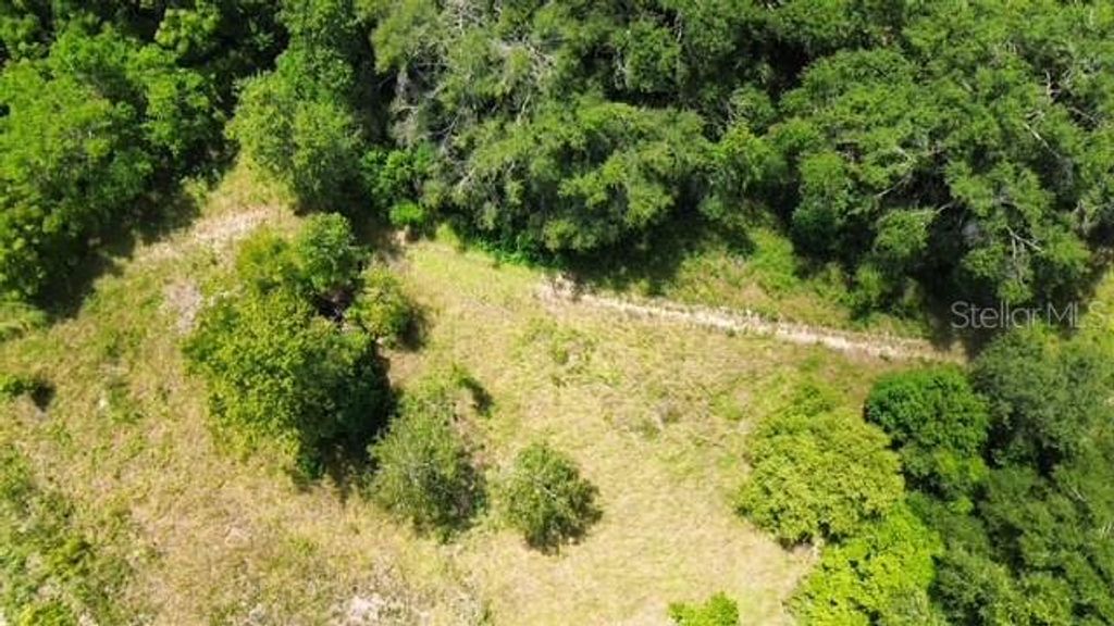 Photo of 4026 N Orange Blossom Trail, Mount Dora, FL 32757 (MLS # O6393994)