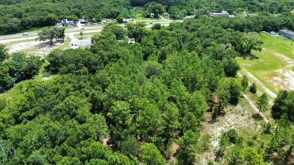 Photo of 4026 N Orange Blossom Trail, Mount Dora, FL 32757 (MLS # O6393994)