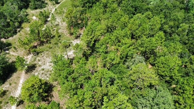 4026 N ORANGE BLOSSOM TRAIL