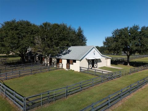 Tiny photo for 2185 NW 114th Loop, Ocala, FL 34475 (MLS # OM711665)