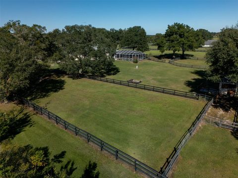 Tiny photo for 2185 NW 114th Loop, Ocala, FL 34475 (MLS # OM711665)