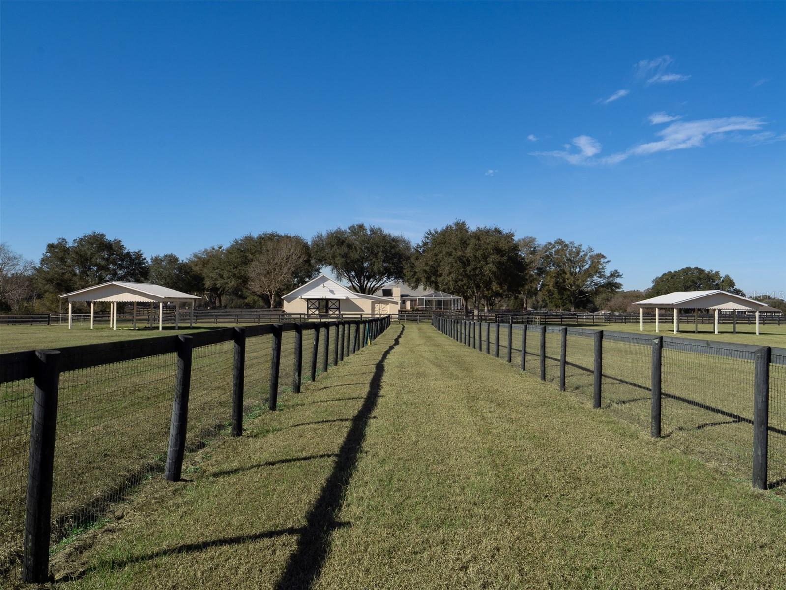 OCALA DOWNS - Residential