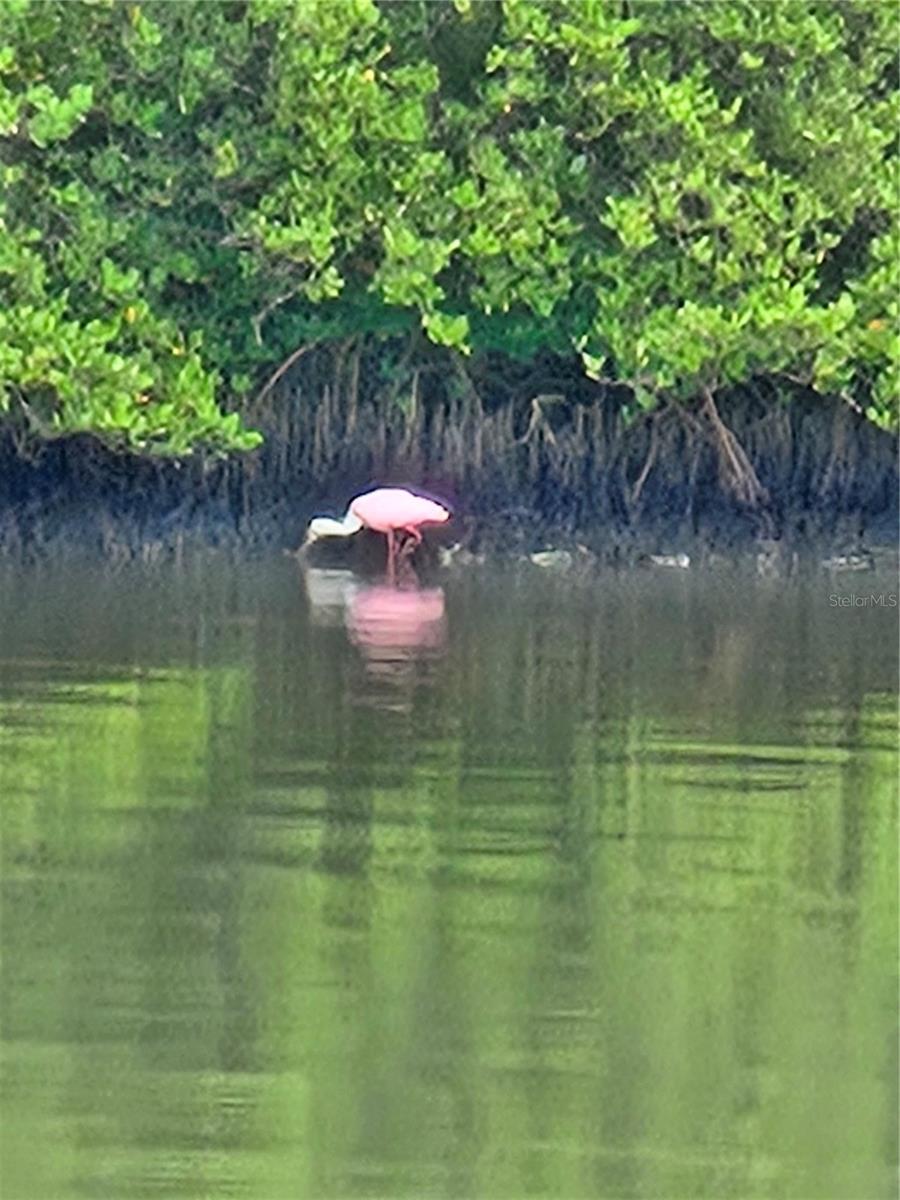 OAKHURST SHORES 1ST ADD - Residential