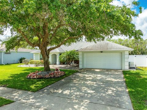 5479 SAINT REGIS WAY PORT ORANGE FL 32128