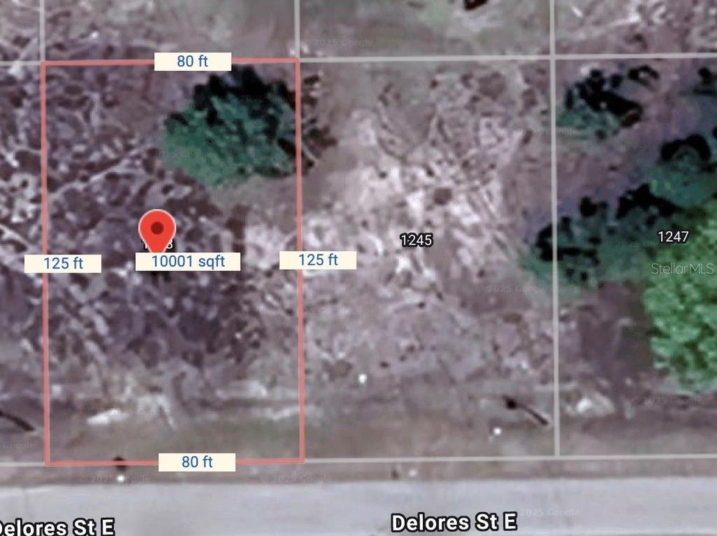 Photo of 1243 Delores Street E, Lehigh Acres, FL 33974 (MLS # O6312135)