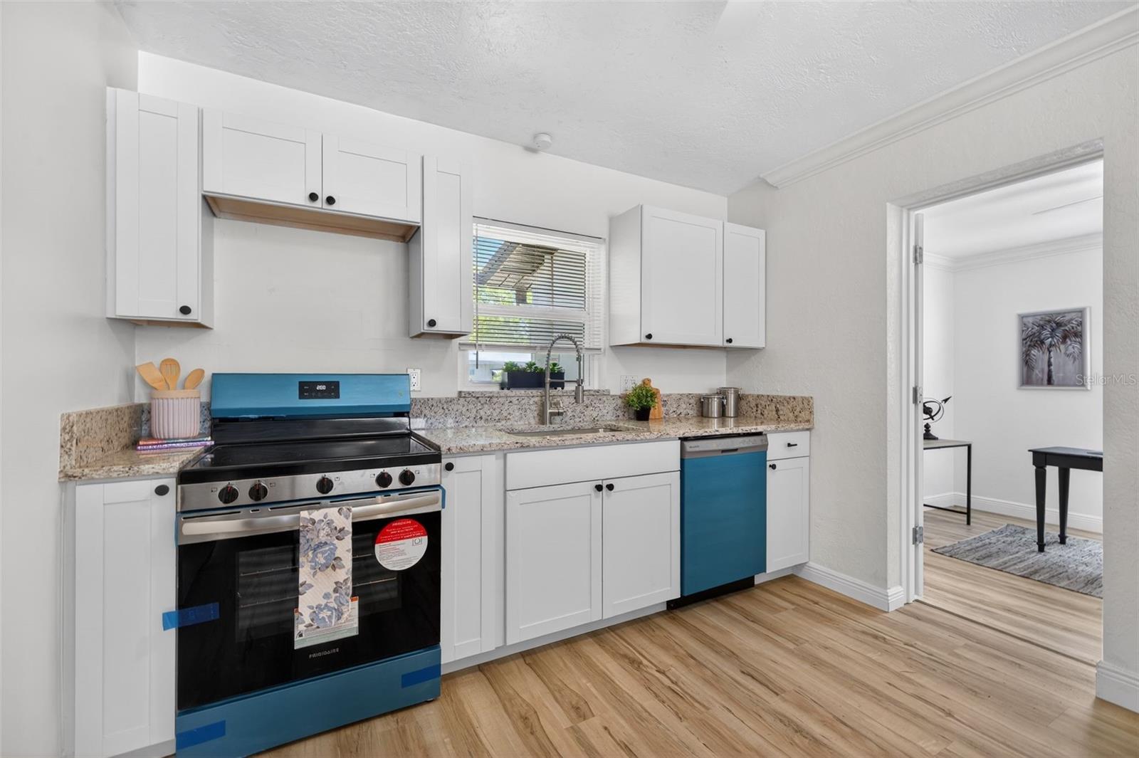 NORTH ST PETERSBURG - Residential