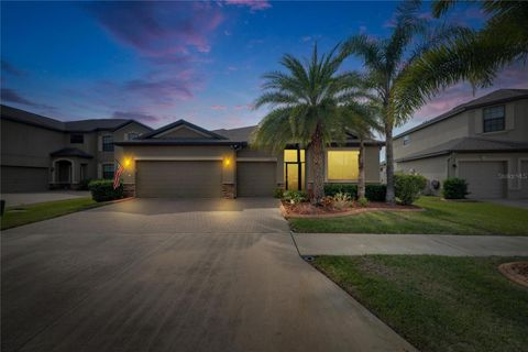 A home in RUSKIN