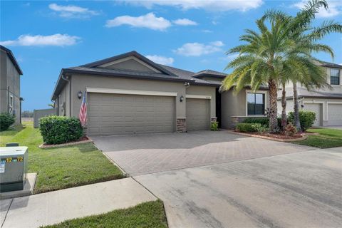 10019 CELTIC ASH DRIVE RUSKIN FL 33573