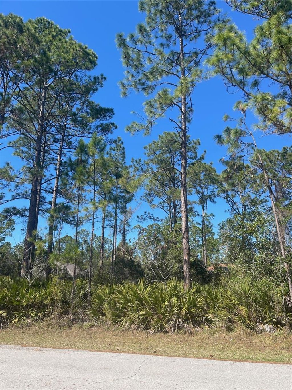 Photo of 36 Seagoing Trail, Palm Coast, FL 32164 (MLS # FC316561)