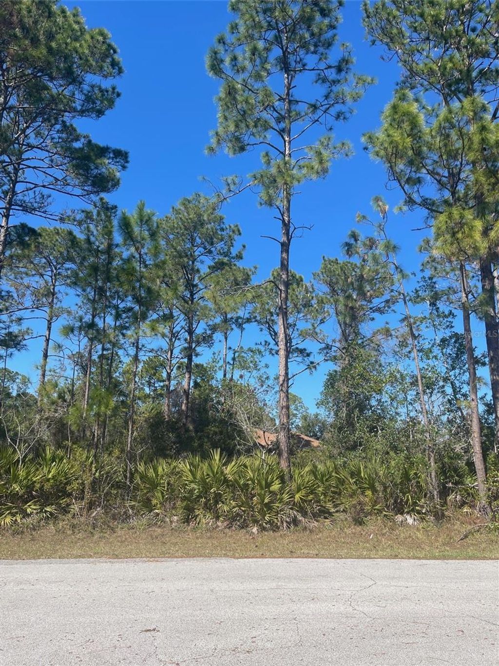 Photo of 36 Seagoing Trail, Palm Coast, FL 32164 (MLS # FC316561)