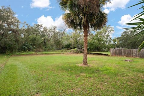 A home in PLANT CITY