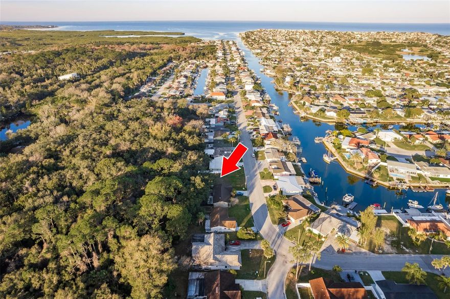 Here is your opportunity to build now or in the future on one of the few lots left in the desirable waterfront community of Gulf Harbors. The previous home on this lot was removed which will result in lower impact fees for new construction. Build your modern elevated home on this 60’ wide newly vinyl fenced property. Your new home, built to current Florida codes of 2 to 3 levels will provide expansive views. This lot did not flood during Idalia and has a current survey on file. You also have the option to join Gulf Harbors private sandy beach for $200 per year which is just a short bike ride away! Gulf Harbors private beach overlooks beautiful Anclote Key where you will enjoy amazing sunsets! The beach offers cabanas, grills, and picnic tables! There is also a community club house for other functions. The Gulf Harbors Yacht Club is nearby as well as 2 community boat ramps. A new park is being planned in the center of this active neighborhood. Just a short ride from lively downtown New Port Richey with many restaurants, bars, shops, and Sims Park. Close to all shopping, restaurants, medical needs, Tampa airport and more. Don’t miss your opportunity to build your dream home and enjoy the sunny tropical Florida lifestyle on the Gulf of Mexico.