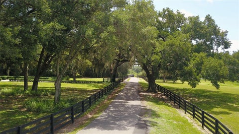Tiny photo for 16945 W Phil C Peters Road, Winter Garden, FL 34787 (MLS # O6418208)