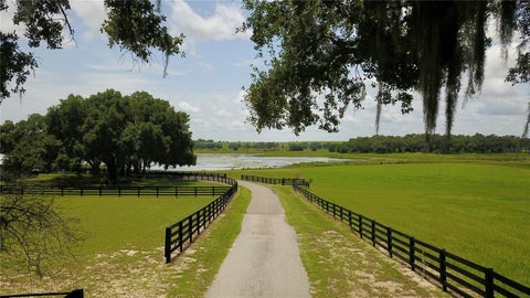 Tiny photo for 16945 W Phil C Peters Road, Winter Garden, FL 34787 (MLS # O6418208)