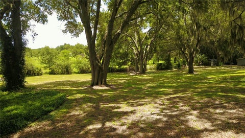Tiny photo for 16945 W Phil C Peters Road, Winter Garden, FL 34787 (MLS # O6418208)