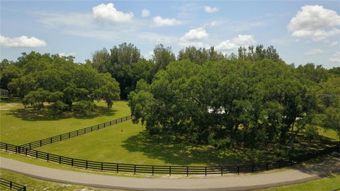 Tiny photo for 16945 W Phil C Peters Road, Winter Garden, FL 34787 (MLS # O6418208)