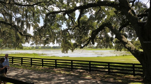 Tiny photo for 16945 W Phil C Peters Road, Winter Garden, FL 34787 (MLS # O6418208)