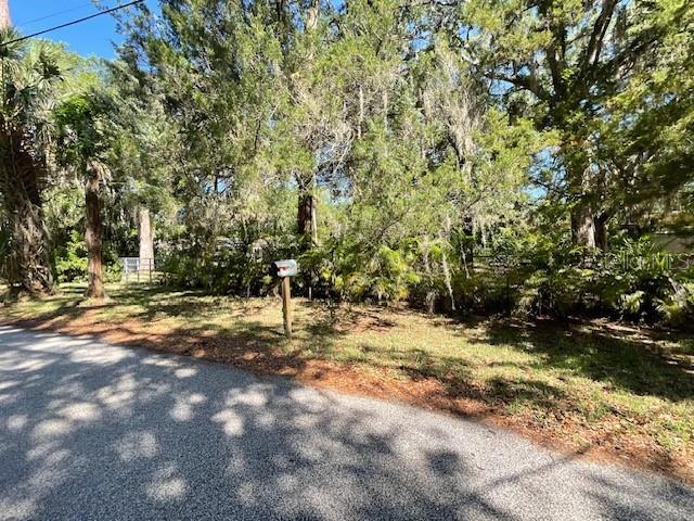 PALM GROVE COLONY - Land