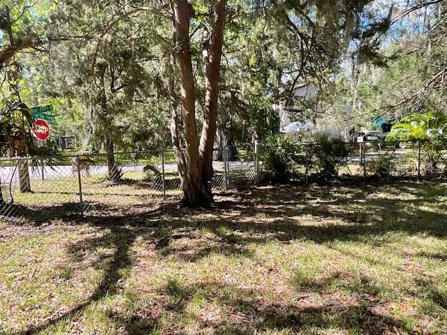 PALM GROVE COLONY - Land