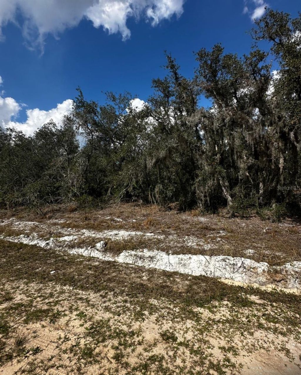 Photo of 0 Allison Avenue, Lake Wales, FL 33859 (MLS # TB8349762)