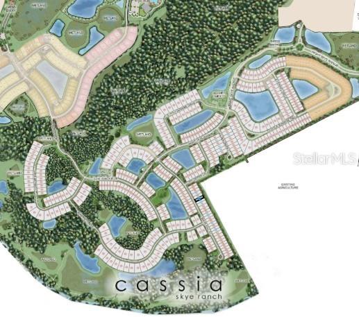CASSIA AT SKYE RANCH - Residential