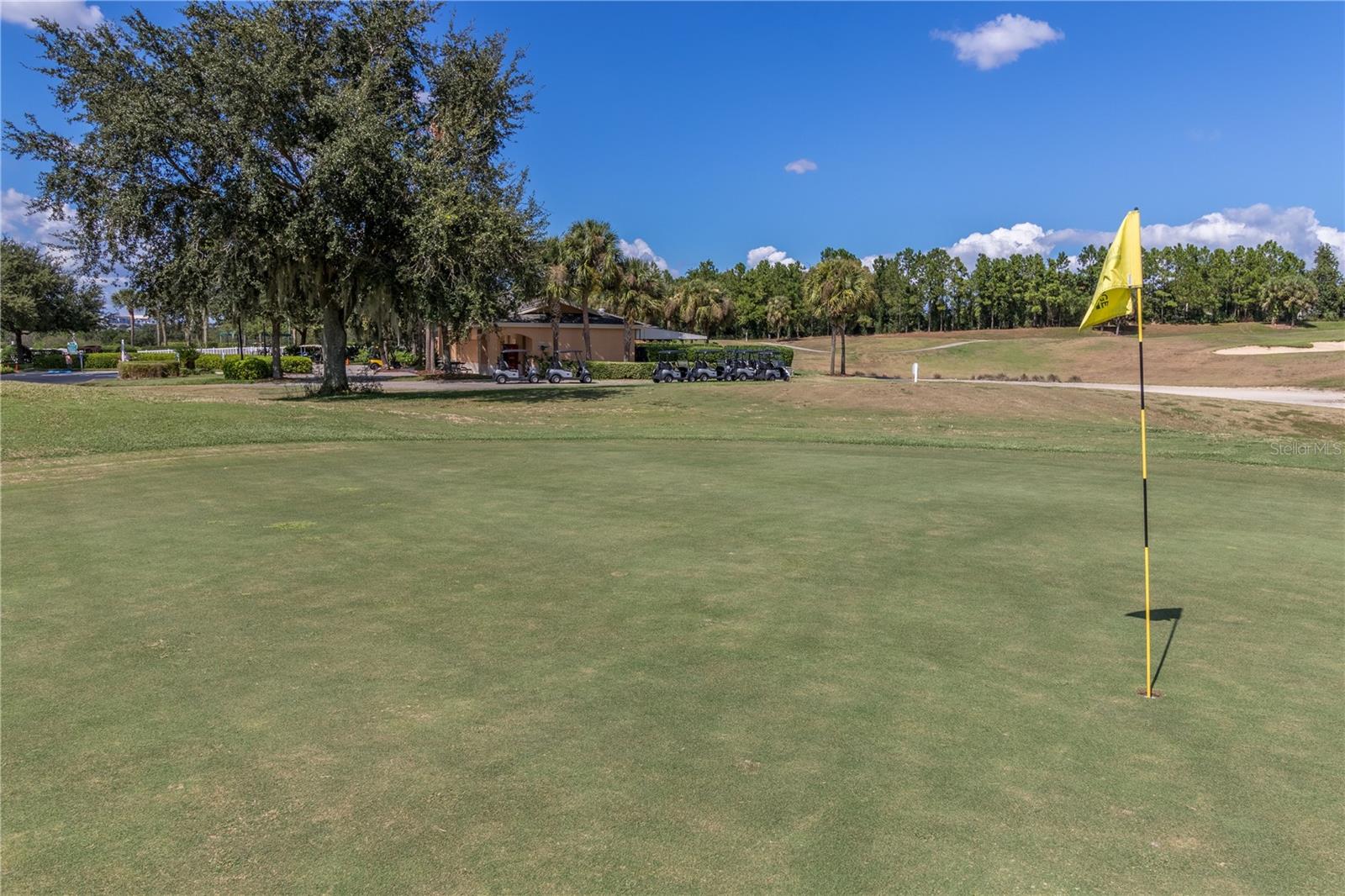 MANCHESTER AT KINGS RIDGE PH I - Residential